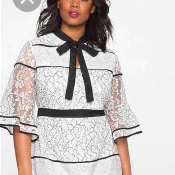 eloquii plus size dresses